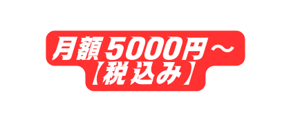 月額5000円 税込み