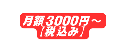 月額3000円 税込み